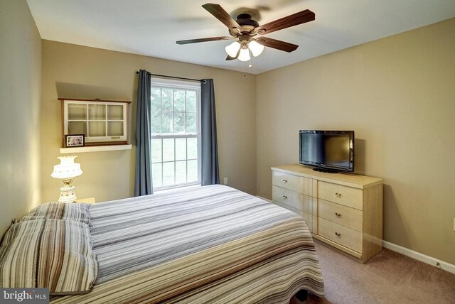 5417 Bazzanella Dr, Mineral, VA 23117 - photo 36