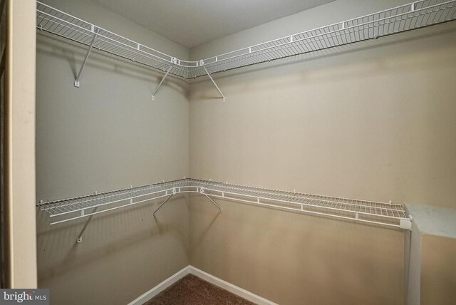 5417 Bazzanella Dr, Mineral, VA 23117 - photo 34
