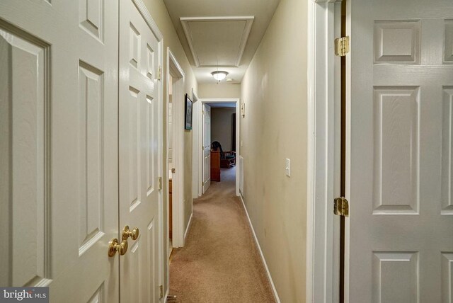 5417 Bazzanella Dr, Mineral, VA 23117 - photo 28