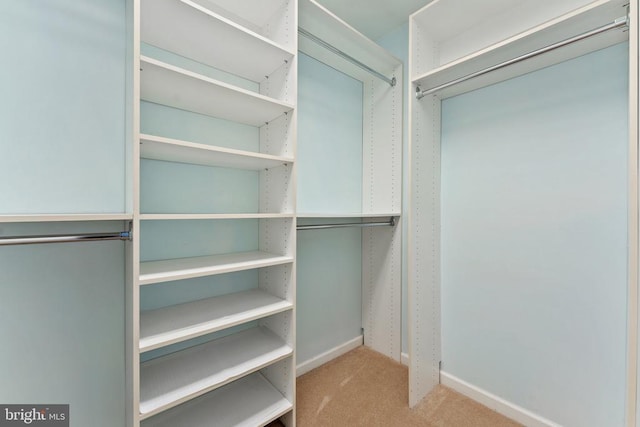  - spacious closet featuring carpet flooring