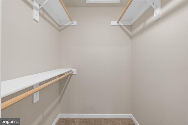 358 Hemlock Ln, Mineral, VA 23117 - spacious closet with carpet floors