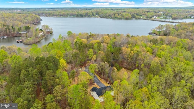 358 Hemlock Ln, Mineral, VA 23117 - aerial view of property's location with a forest and a nearby body of water