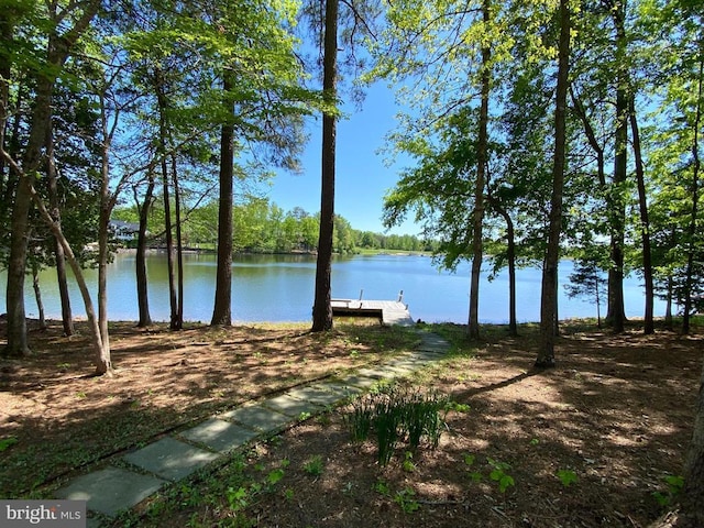 11217 Field Cir, Spotsylvania, VA 22551 - photo 4
