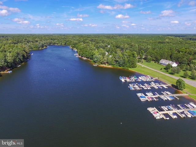 11217 Field Cir, Spotsylvania, VA 22551 - birds eye view of property with a water view and a forest view