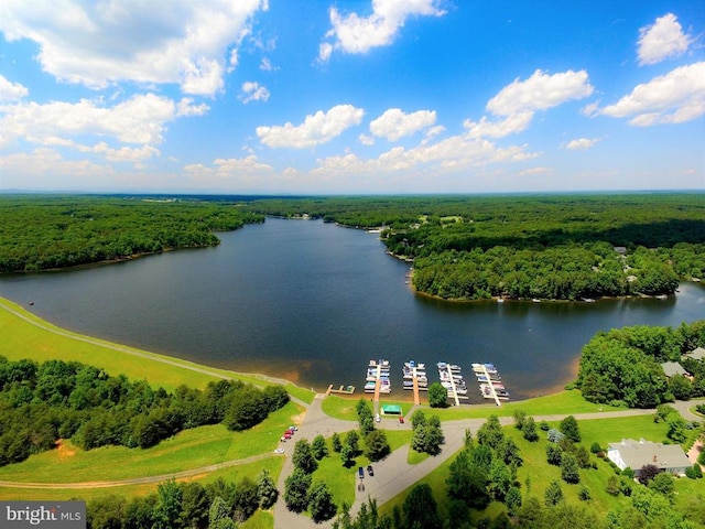 11217 Field Cir, Spotsylvania, VA 22551 - photo 7