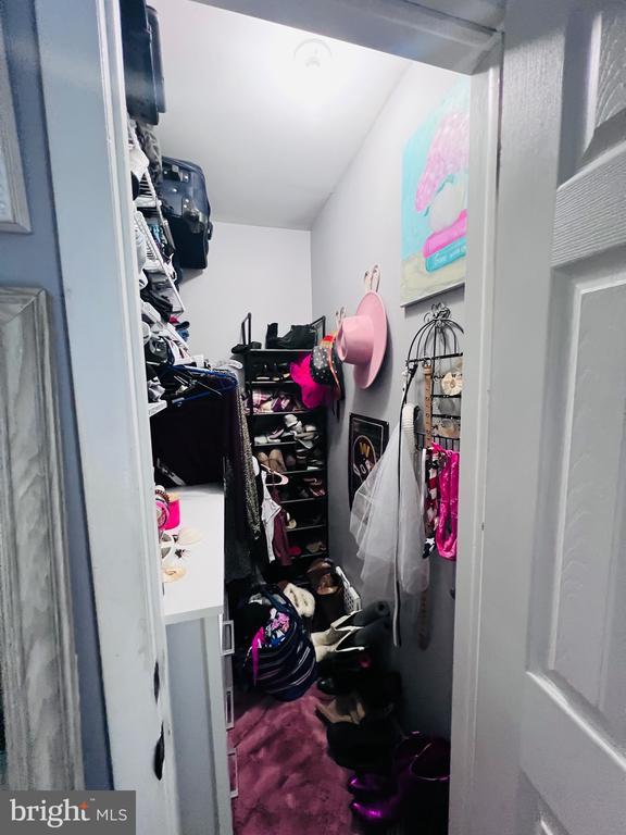 5122 Cottonwood Ct, Fredericksburg, VA 22407 - view of spacious closet