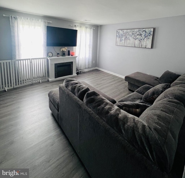 5122 Cottonwood Ct, Fredericksburg, VA 22407 - living room featuring wood finished floors and a fireplace
