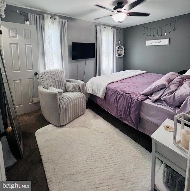 5122 Cottonwood Ct, Fredericksburg, VA 22407 - bedroom featuring multiple windows, carpet, and ceiling fan