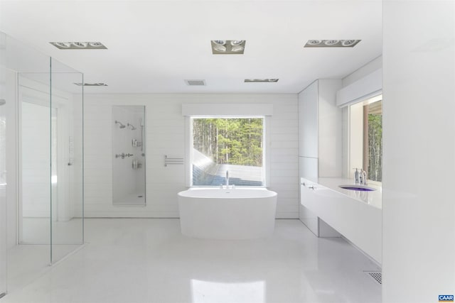 4323 Carter Rd, Schuyler, VA 22969 - bathroom featuring vanity, visible vents, a freestanding tub, and a walk in shower