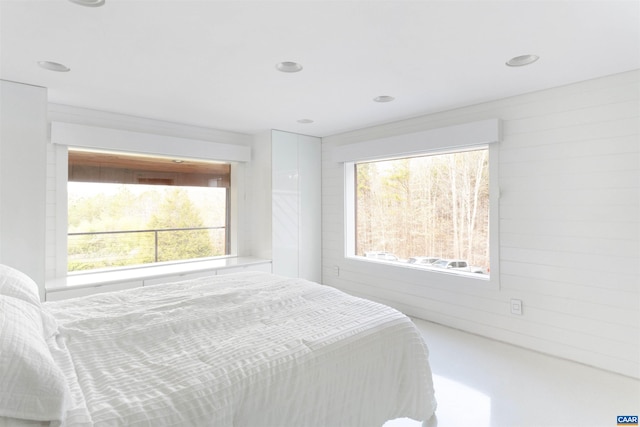 4323 Carter Rd, Schuyler, VA 22969 - bedroom featuring multiple windows