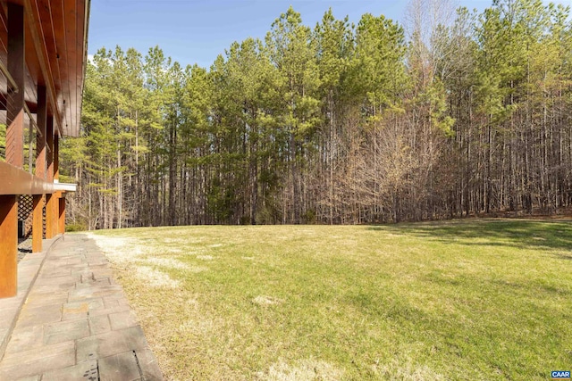 4323 Carter Rd, Schuyler, VA 22969 - view of yard with a view of trees