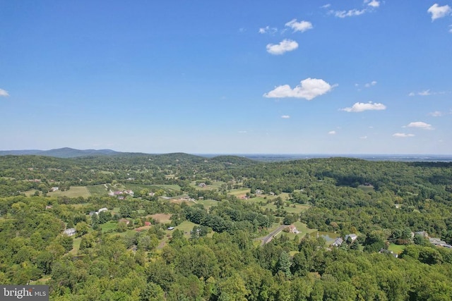  - aerial view of a forest and mountains