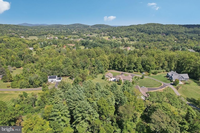  - aerial view of property's location with a forest and a mountainous background
