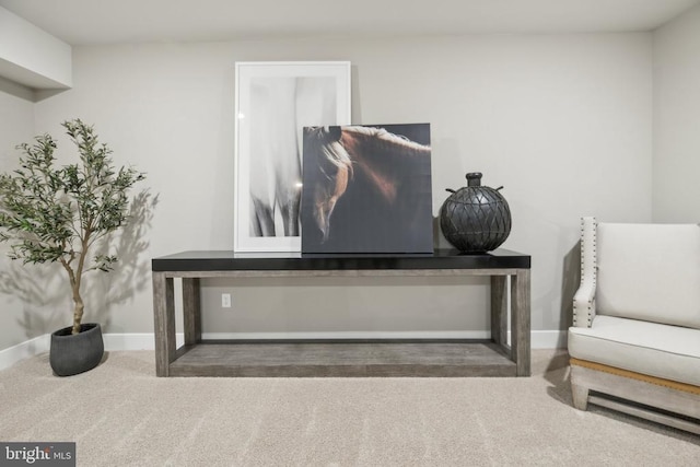  - detailed view of baseboards and carpet flooring