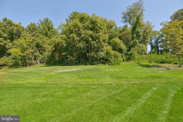  - view of grassy yard
