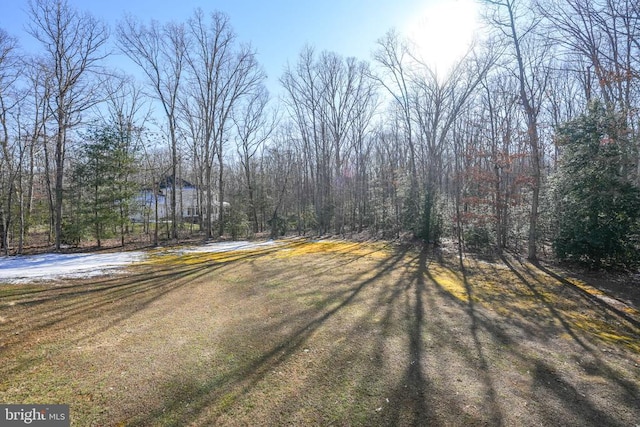 11512 Balmartin Ct, Spotsylvania, VA 22553 - view of street featuring a wooded view