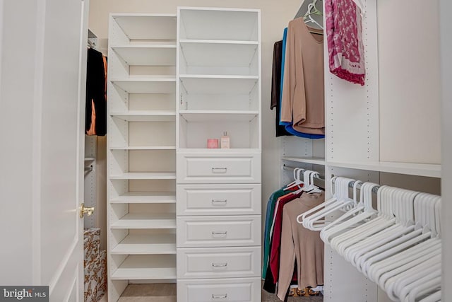 11512 Balmartin Ct, Spotsylvania, VA 22553 - view of spacious closet