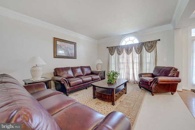 11512 Balmartin Ct, Spotsylvania, VA 22553 - living area featuring crown molding