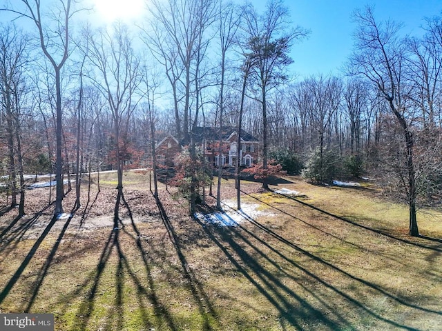 11512 Balmartin Ct, Spotsylvania, VA 22553 - view of green lawn