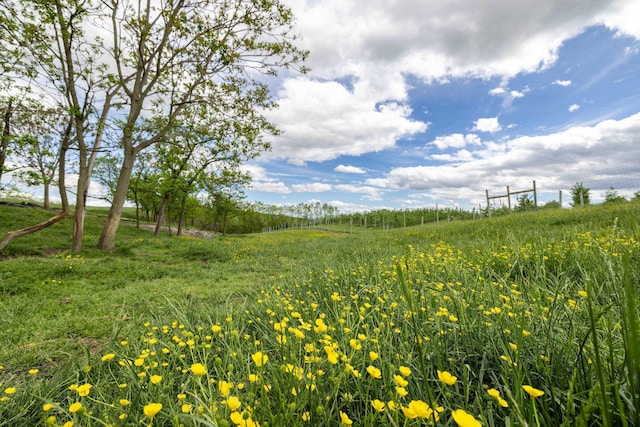 TBD Vetters Rd, Timberville, VA 22853