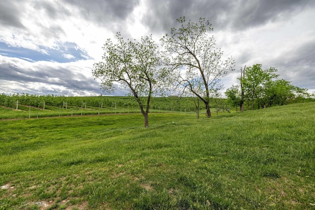 TBD Vetters Rd, Timberville, VA 22853