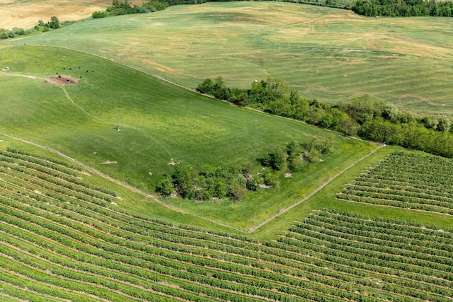 TBD Vetters Rd, Timberville, VA 22853