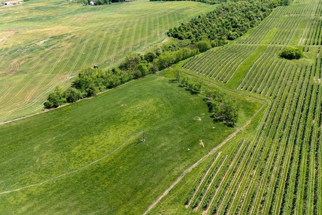 TBD Vetters Rd, Timberville, VA 22853