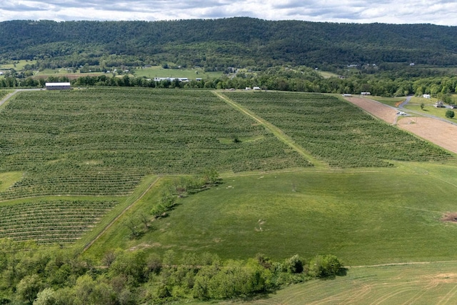 TBD Vetters Rd, Timberville, VA 22853