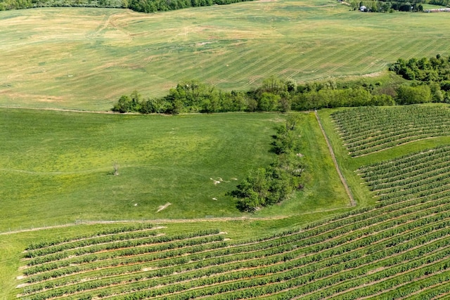 TBD Vetters Rd, Timberville, VA 22853