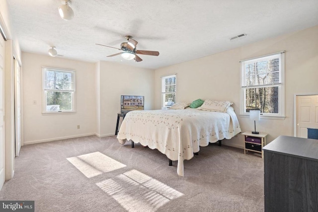 9128 Woodbrook Ln, Culpeper, VA 22701 - carpeted bedroom with multiple windows, baseboards, ceiling fan, and a textured ceiling