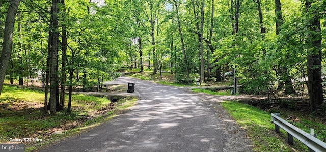 view of community with driveway and a forest view