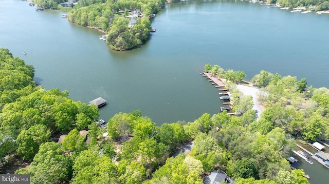 bird's eye view of a large body of water