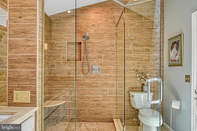 full bathroom featuring a shower stall, toilet, and vanity