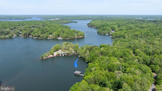 aerial view of a heavily wooded area and a nearby body of water