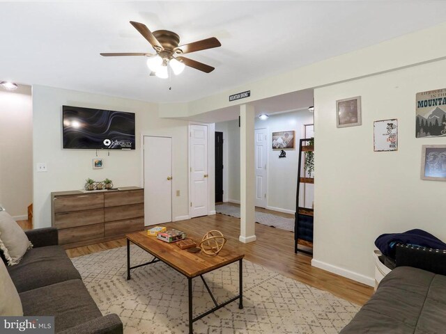 317 Locustdale Loop, Shenandoah, VA 22849 - living room with wood finished floors, ceiling fan, and baseboards
