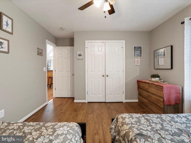 317 Locustdale Loop, Shenandoah, VA 22849 - bedroom featuring baseboards, wood finished floors, and a closet