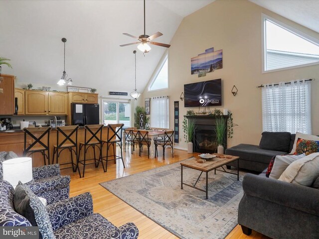 317 Locustdale Loop, Shenandoah, VA 22849 - living area with high vaulted ceiling, a ceiling fan, light wood-type flooring, and a glass covered fireplace