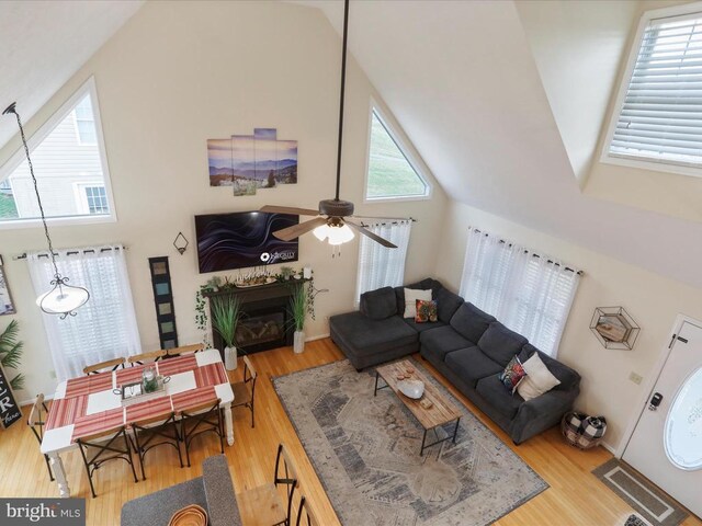 317 Locustdale Loop, Shenandoah, VA 22849 - living area featuring wood finished floors, a glass covered fireplace, a ceiling fan, and high vaulted ceiling