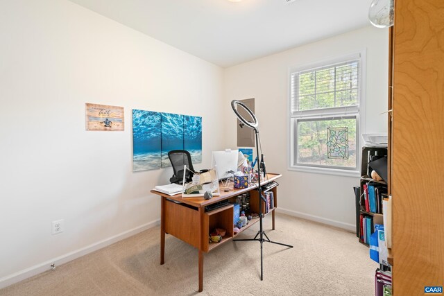 139 Longwood Dr, Charlottesville, VA 22903 - carpeted office space with baseboards