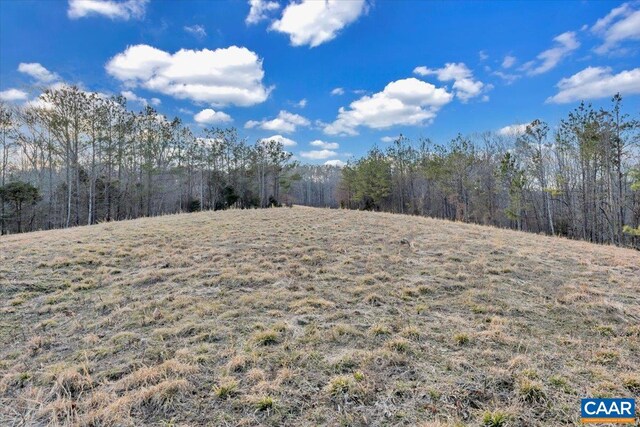 1660 Lees Mill Ln, Goode, VA 24556 - view of yard featuring a wooded view