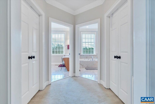 1660 Lees Mill Ln, Goode, VA 24556 - hall featuring light carpet, baseboards, and ornamental molding