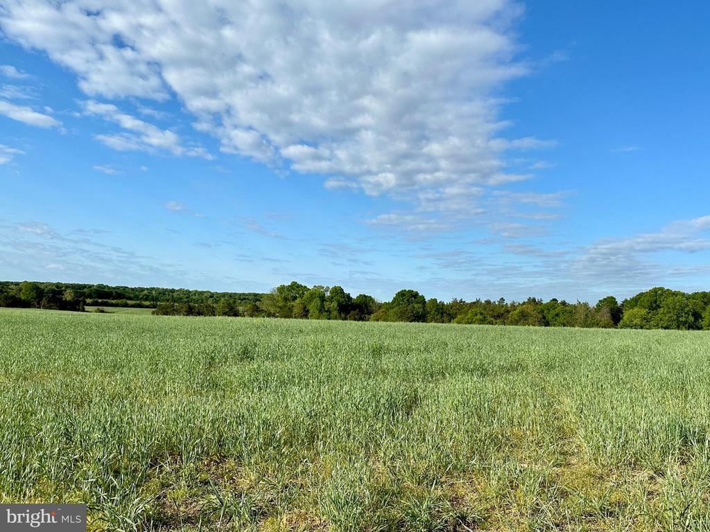 Zachary Taylor Hwy, Unionville, VA 22567