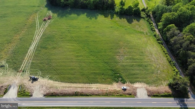 Zachary Taylor Hwy, Unionville, VA 22567