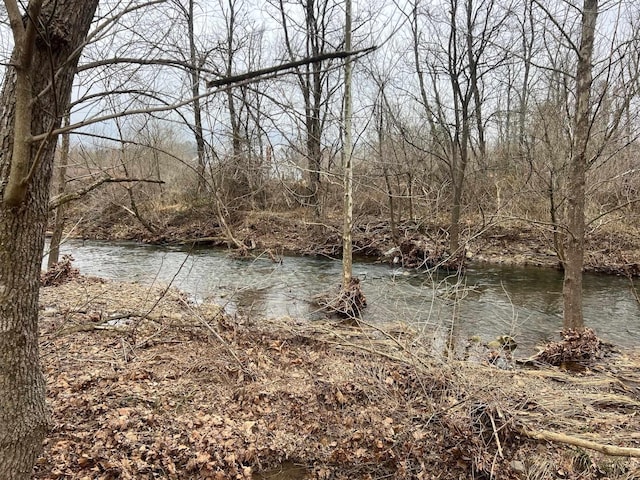 3070 Deerfield Valley Rd, Deerfield, VA 24432 - property view of water