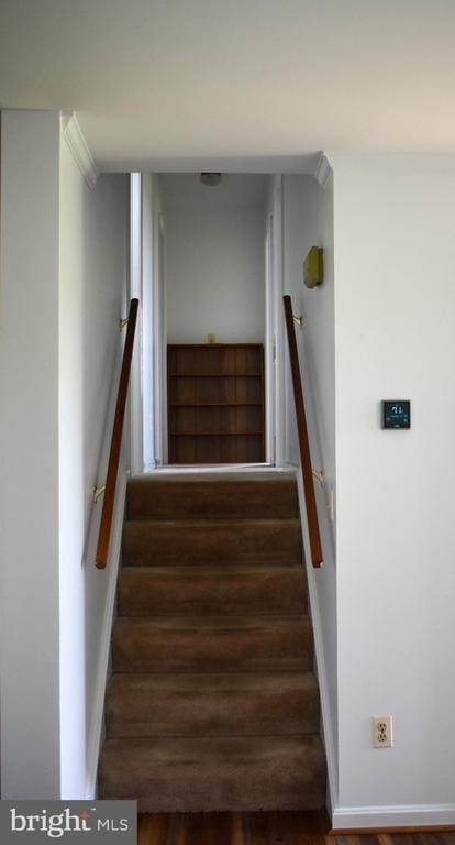 15650 Gibson Mill Rd, Culpeper, VA 22701 - photo 19