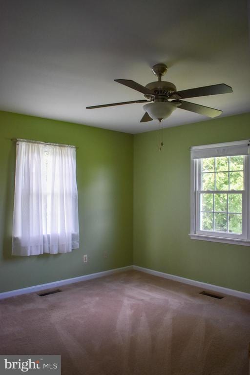 15650 Gibson Mill Rd, Culpeper, VA 22701 - photo 14