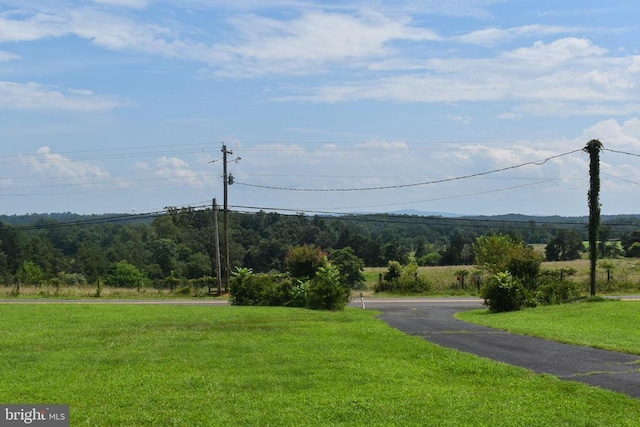 15650 Gibson Mill Rd, Culpeper, VA 22701 - photo 3
