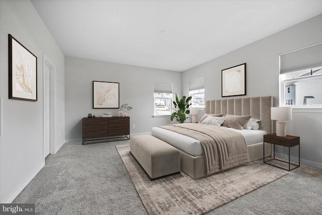 2093 Whithorn Hl, Jeffersonton, VA 22724 - bedroom featuring carpet flooring