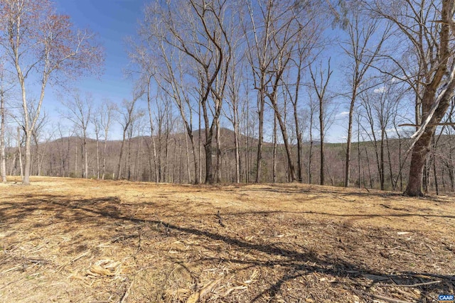 LOT3 Rockfish Valley Hwy, Afton, VA 22920