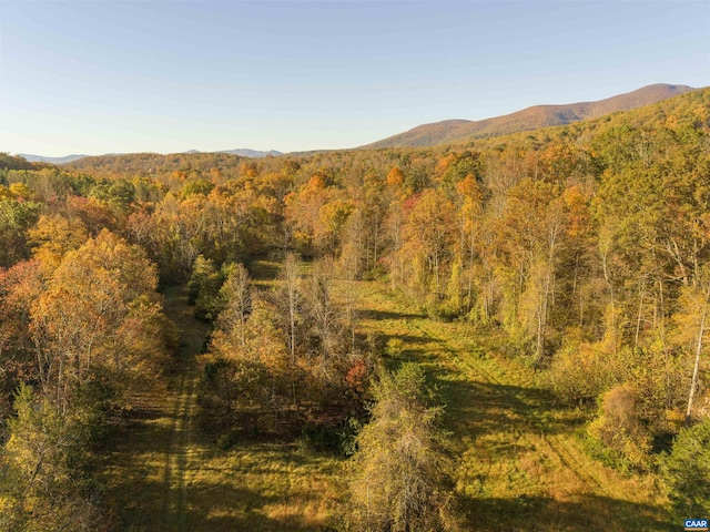 LOT3 Rockfish Valley Hwy, Afton, VA 22920